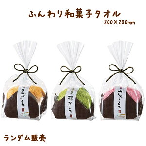 ےC ӂaَq^I 20x20cm ̑i Mtg mxeB v[g J[_ v`Mtg