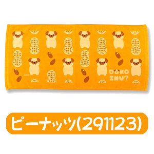 y[։zIN^j DOKOINU? hRCk tFCX^I (wb_[t) 34×75cm S4