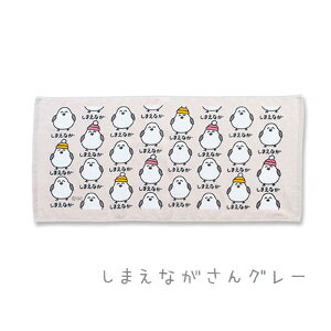 y[։z tFCX^I (wb_[t) 34×75cm S7