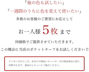 ポケットチーフ日本製無地メール便送料無料結婚式パーティー光沢フォーマルメンズ男性紳士服小物赤色レッドホワイトブラック黒白冠婚葬祭ブラウン黒チーフ白チーフ