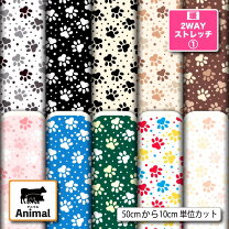 楽天市場】猫 レオタードの通販