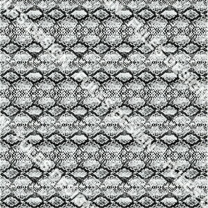 A[n z  Aj}XL VɂȂɂ pp nhCh  | C~ 悳 RXv ߑ obO HD a В (animalskin_1)