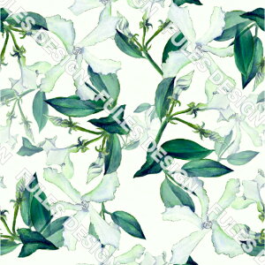 S߂񐶒n z ԕ VɂȂɂ \ʂɍׂʉ̃V{ pp nhCh  | C~ 悳 ߑ ܂ݍ׍H HD a В (flower_3)