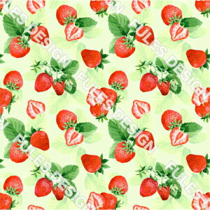 2wayXgb`jbgn z t[c cɐLт z UVJbg pp nhCh  |  I^[h X|[cEGA MX  (fruit_2)