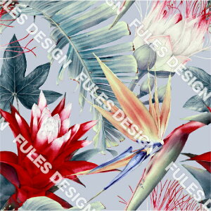 nCA Te WK[hn ш` ` z ؂₩Ȓn͗l  pp nhCh  | C~ 悳 ߑ ܂ݍ׍H HD a В (hawaii_1)