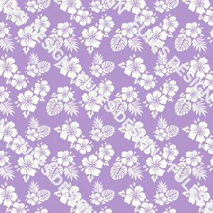 nCA ʔ׃\tgbVjbgn z Xgb` z ʋC pp nhCh  | TVc pc X|[cEFA ėpV[c (hawaii_6)