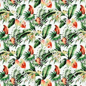 S߂ n z nC nCA  VɂȂɂ pp C~ 悳 ߑ ܂ݍ׍H HD a В nhCh  | (hawaii_8)