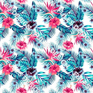 |GXe X[Xjbg n z nC nCA  pp Xk[h Xg[ NbVJo[ Jo[ nhCh  | (hawaii_9)
