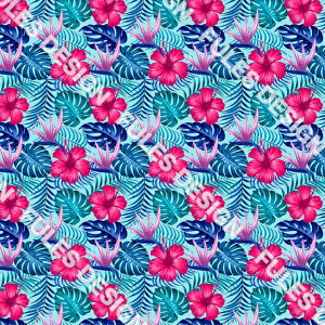 g2wayXgb`jbg2 n z H~ nC nCA  s[`N ۉ cɐLт pp    Ci[  TVc nhCh  | (hawaii_9)