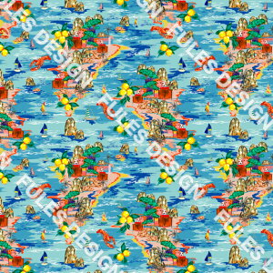 |GXe Te n z nC nCA  pp hX lN^C RXv ̈   \̈ߑ h[̗m nhCh  | (hawaii_9)