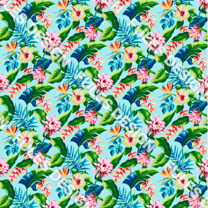 S߂ n z ԕ nC nCA  VɂȂɂ pp C~ 悳 ߑ ܂ݍ׍H HD a В nhCh  | (hawaii_10)
