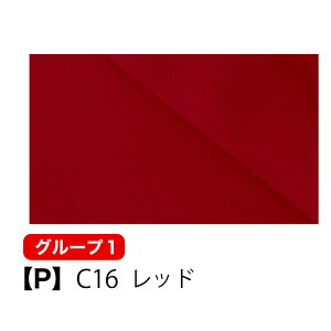 y12/8 5%OFFN[|Ώہzn z n Xgb`jbgn C1000 S24F 165cm ωf UVJbg z Sx pp  I^[h tBbglX X|[cEFA bVK