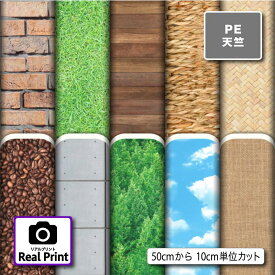 シワになりにくい ポリエステル 天竺生地 布 リアルプリント柄 商用利用可 ハンドメイド 手作り 手芸 入園入学グッズ 体操着袋 巾着袋 給食マット ランチマット エコバッグ ハンカチ (real_2)