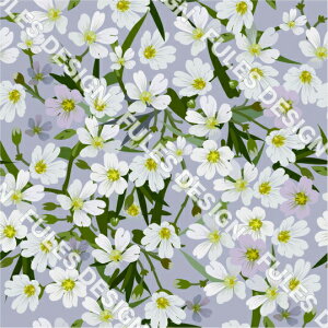 ԕ ԕ ۉ g2wayXgb`jbg2 n z H~ s[`N cɐLт pp nhCh  |    Ci[ ^Cc  TVc (smallflower_2)