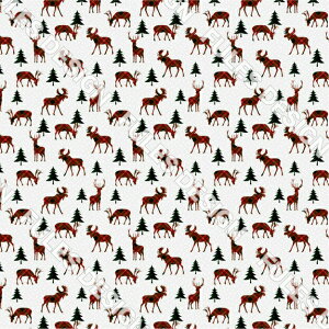 A[n z NX}X VɂȂɂ pp nhCh  | C~ 悳 RXv ߑ obO HD a В (winter_1)