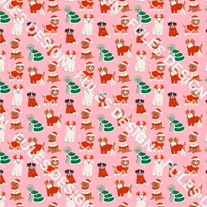 t[X n z NX}X L  킢 ыʖh~ A`sO pp  Ђ| Xk[h AE^[ nhCh  V (winter_9)