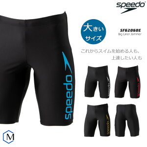 Y tBbglX j 傫TCY speedo Xs[h SF62060E