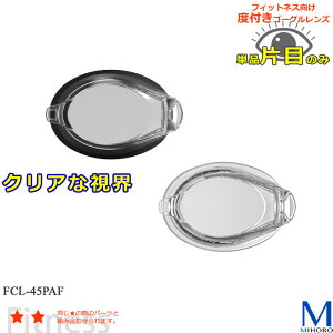 NbV xtYiЖځj tBbglXp XCS[O SWANSiXYj FCL-45PAF