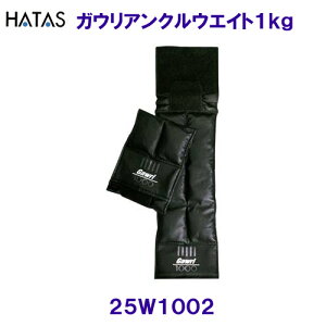 n^HATASy2025SSzKEANEGCg1kgi2gj 25W1002