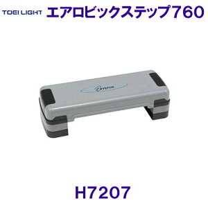 g[GCCgTOEILIGHTy2025SSzGArbNXebv760 H7207