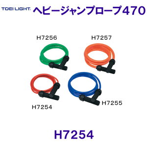 g[GCCgTOEILIGHTy2025SSzwr[Wv[v470 H7254