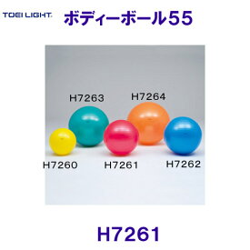 トーエイライト TOEILIGHT ボディーボール55 H7261 バランスボール /2024SS