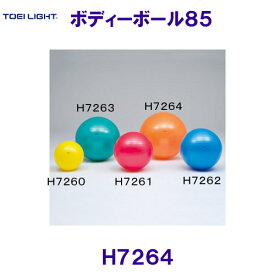 トーエイライト TOEILIGHT ボディーボール85 H7264 バランスボール /2024SS