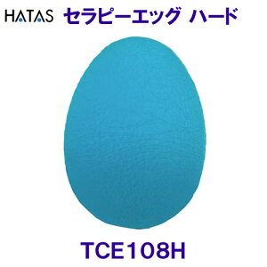 n^HATASy2025SSzZs[GbO n[h TCE108H