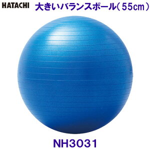 バランスボール55cmの人気商品 通販 価格比較 価格 Com バランスボール55cmの人気商品 通販 価格比較 価格 Com