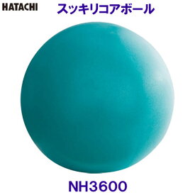 ハタチ HATACHI スッキリコアボール NH3600 自宅トレーニング お腹 体幹 リラクシングワーク/2024SS