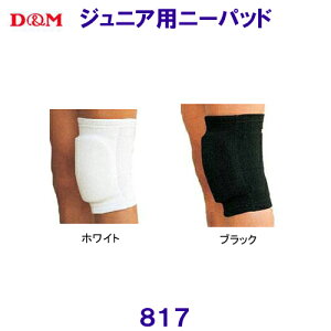 fB[AhG D&M WjAp j[pbh 817 Ђ {o[{[F/2025FW