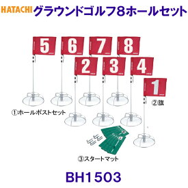 ハタチ HATACHI グラウンド・ゴルフ8ホールセット BH1503 グラウンドゴルフ /2024SS