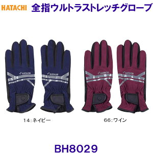 n^` HATACHI SwEgXgb`O[u BH8029 OEhStpi OhStpi /2025FW