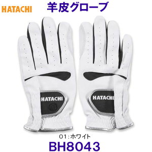 n^` HATACHI rvO[u BH8043 OEhStpi OhStpi /2025FW