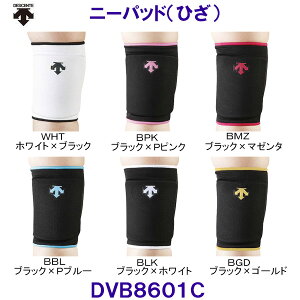 fTg DESCENTE j[pbh DVB8601C o[{[p ЂT|[^[ /2025FW