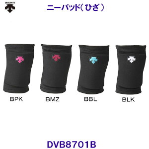 fTg DESCENTE j[pbh DVB8701B o[{[p ЂT|[^[ /2025FW