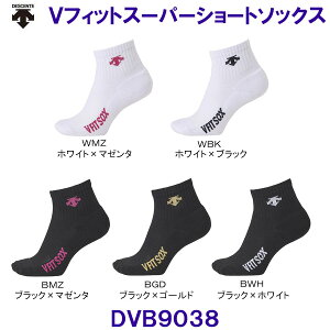 fTg DESCENTE VtBbgX[p[V[g\bNX DVB9038 o[{[p V FIT SOX /2025FW