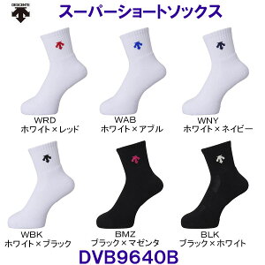 fTg DESCENTE X[p[V[g\bNX DVB9640B /2025FW