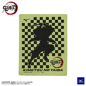 ~Ym MIZUNO XC^I N2JY209631 CgO[ jpZ[^I 44×34cm Sł̐n /50%OFF