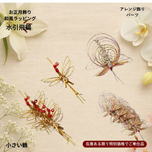 _{Ղ聚20OFF^ p  ߏp AWp[c 萅  Mtg 2育II  MtgbsOɂ p ѓc El菤i[ss