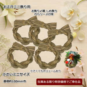 Y 烊[X 烊[X ȑ 肨 烊[Xޗ 胊[X̍ޗ [NVbvx[X ߓ ޗ 䒼a10cm    