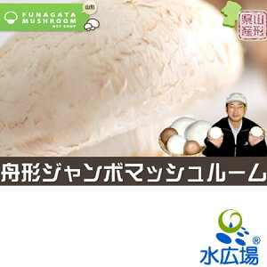 【山形県産】【産地直送】【送料無料】ジャンボマッシュルーム(ホワイト)(直径9〜10cm)×8本