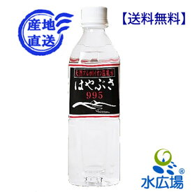 【北海道・九州を除き送料無料】りょう泉　はやぶさ　天然アルカリイオン泉 500mlx24本入り　山梨県の水源工場から直送のため代引き不可【RCP】【HLS_DU】