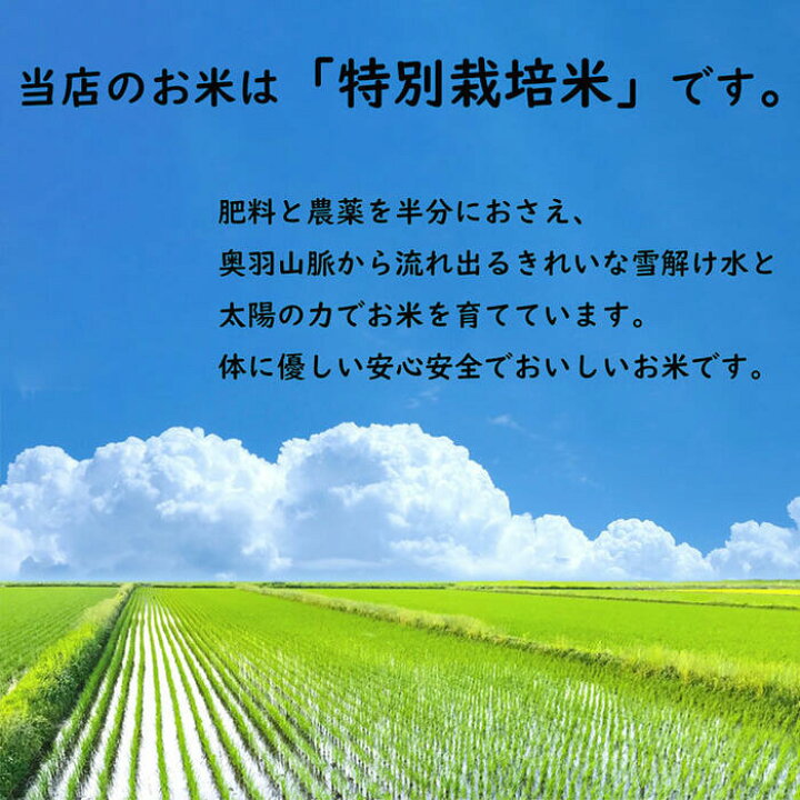 楽天市場】【新米予約】無洗米あきたこまち 秋田県産 令和6年産 特別  