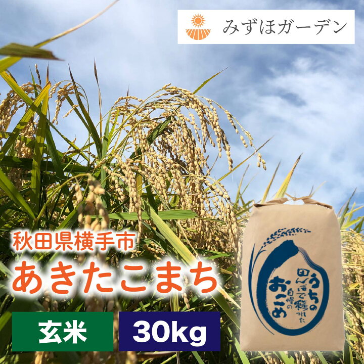 楽天市場】玄米 あきたこまち 30kg 令和6年産 送料無料 秋田県産 特別  