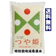 【正規取扱店】 　令和8年産　新米　山形県産特別栽培米　つや姫10kg(5kgx2)　【北海道〜近畿地方のみ送…