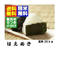 楽天市場】山形 はえぬき 玄米 30kgの通販