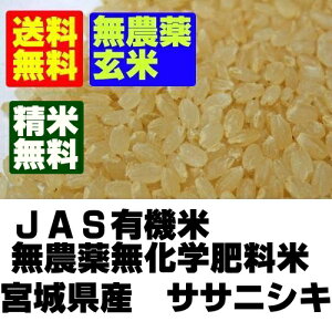 y_򌺕āzߘa7NY@{錧oĎYTTjVL5kgykC`ߋEn̂ݑzyElEBEn͒ǉ^z