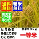 28年産　山形県産一等米 玄米 30kg　はえぬき ひとめぼれ あきたこまち　精米・送料無料　小分け・無洗米対応（有料） ランキングお取り寄せ