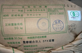 【無農薬玄米】令和7年産　宮城県登米産ササニシキ玄米5kg【北海道〜近畿地方のみ送料無料】【中国・四国・九州・沖縄地方は追加運賃】